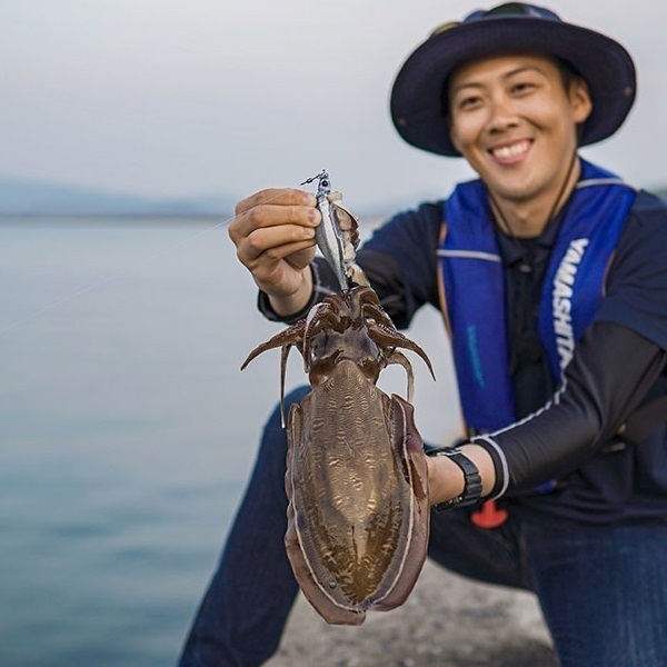 エギーノもぐもぐサーチ3．2